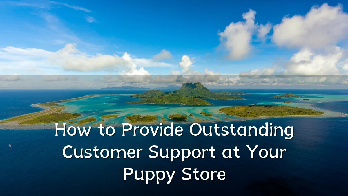 How to Provide Outstanding Customer Support at Your Puppy Store