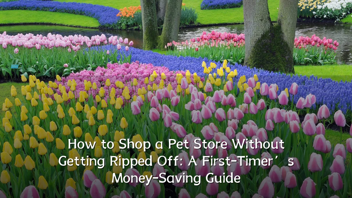 How to Shop a Pet Store Without Getting Ripped Off: A First-Timer’s Money-Saving Guide