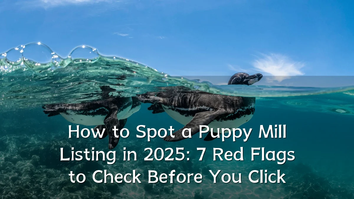 How to Spot a Puppy Mill Listing in 2025: 7 Red Flags to Check Before You Click