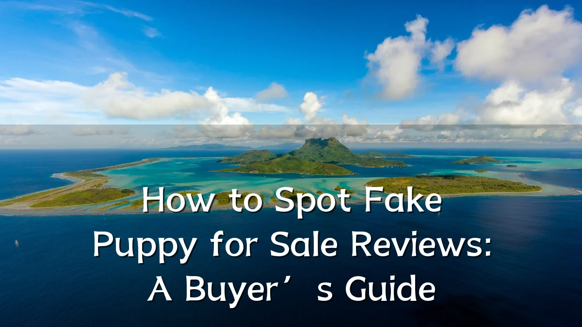 How to Spot Fake Puppy for Sale Reviews: A Buyer’s Guide