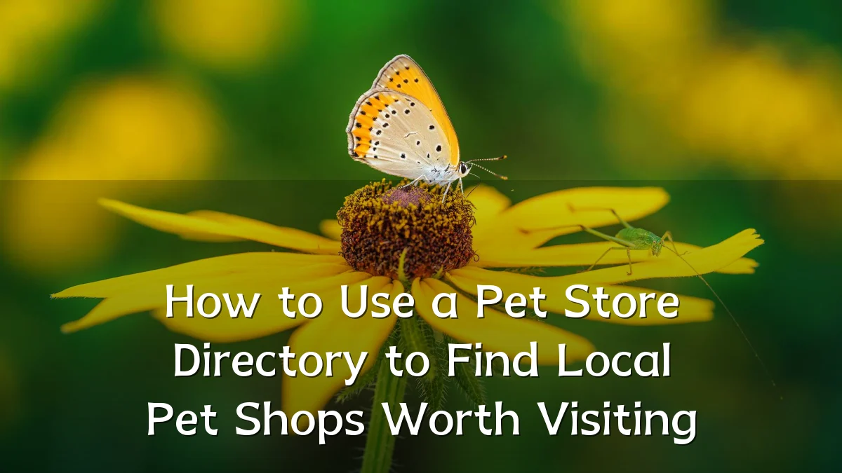 How to Use a Pet Store Directory to Find Local Pet Shops Worth Visiting