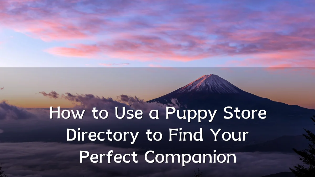How to Use a Puppy Store Directory to Find Your Perfect Companion