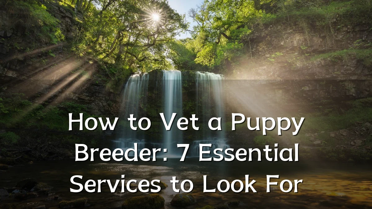 How to Vet a Puppy Breeder: 7 Essential Services to Look For