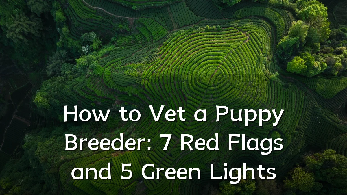 How to Vet a Puppy Breeder: 7 Red Flags and 5 Green Lights