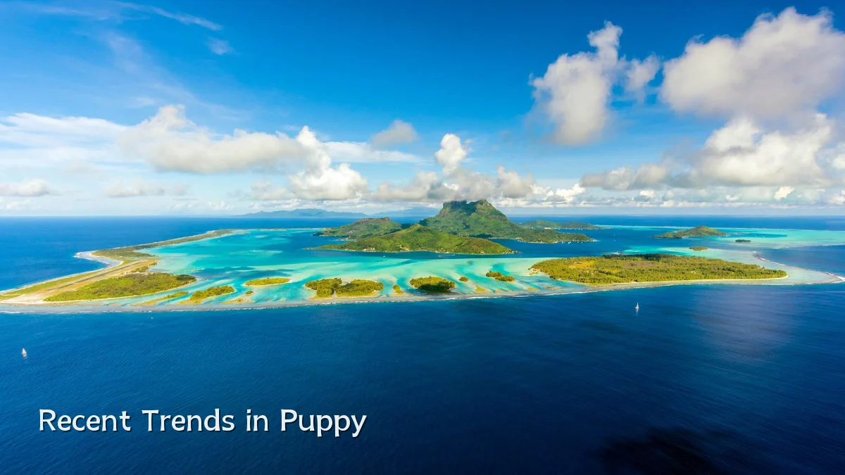 Recent Trends in Puppy