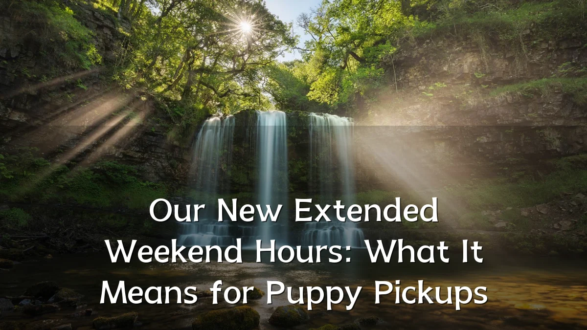 Our New Extended Weekend Hours: What It Means for Puppy Pickups