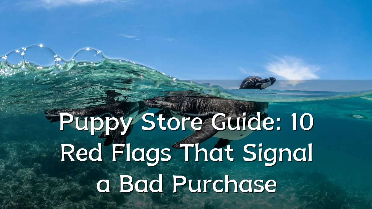 Puppy Store Guide: 10 Red Flags That Signal a Bad Purchase