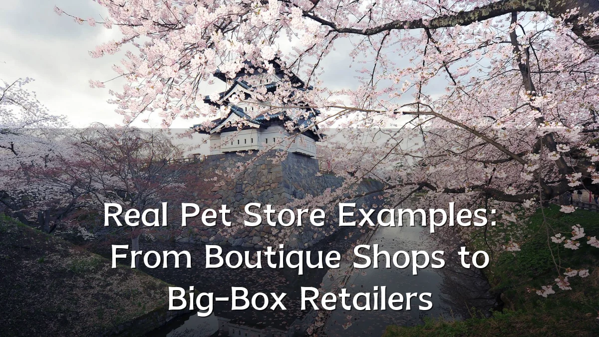 Real Pet Store Examples: From Boutique Shops to Big-Box Retailers