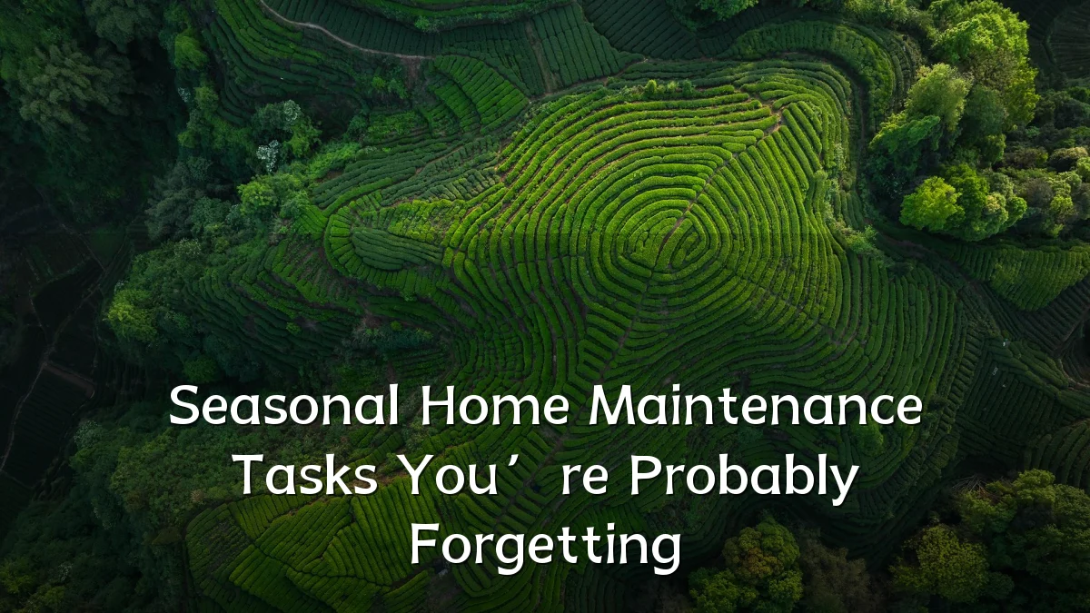 Seasonal Home Maintenance Tasks You’re Probably Forgetting