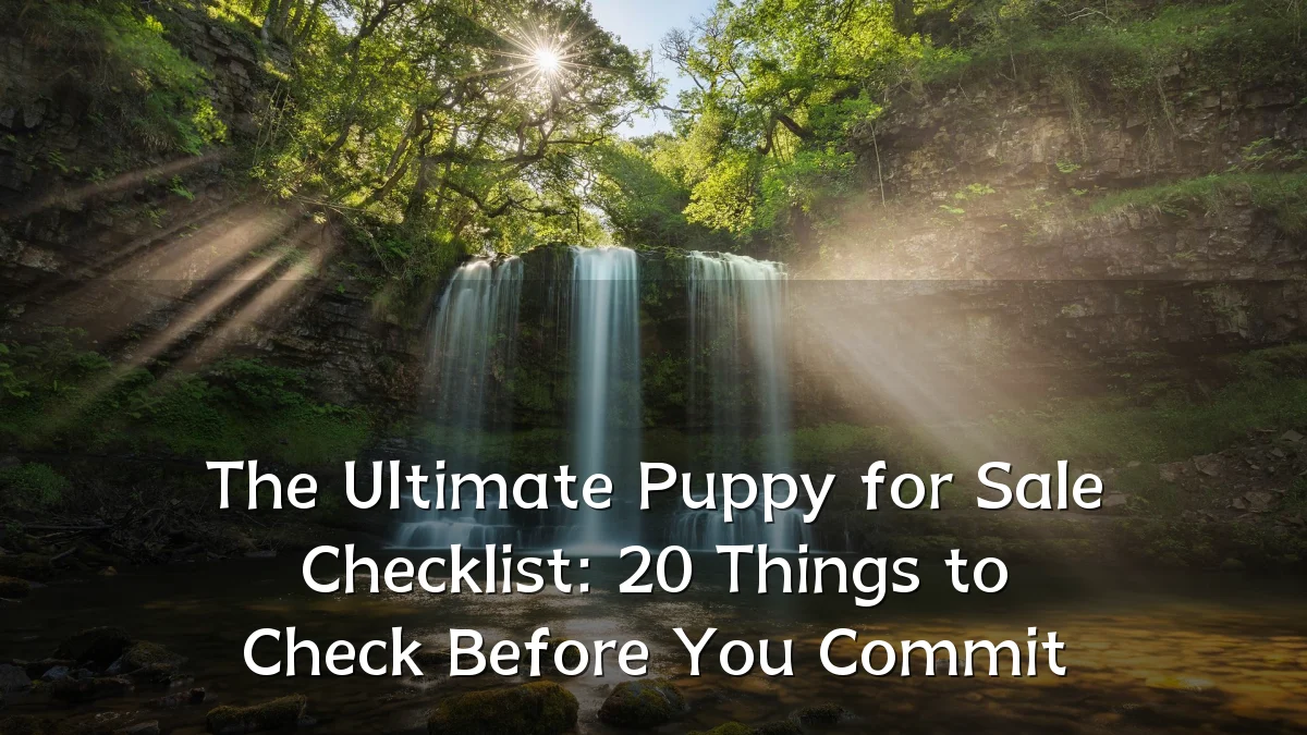 The Ultimate Puppy for Sale Checklist: 20 Things to Check Before You Commit
