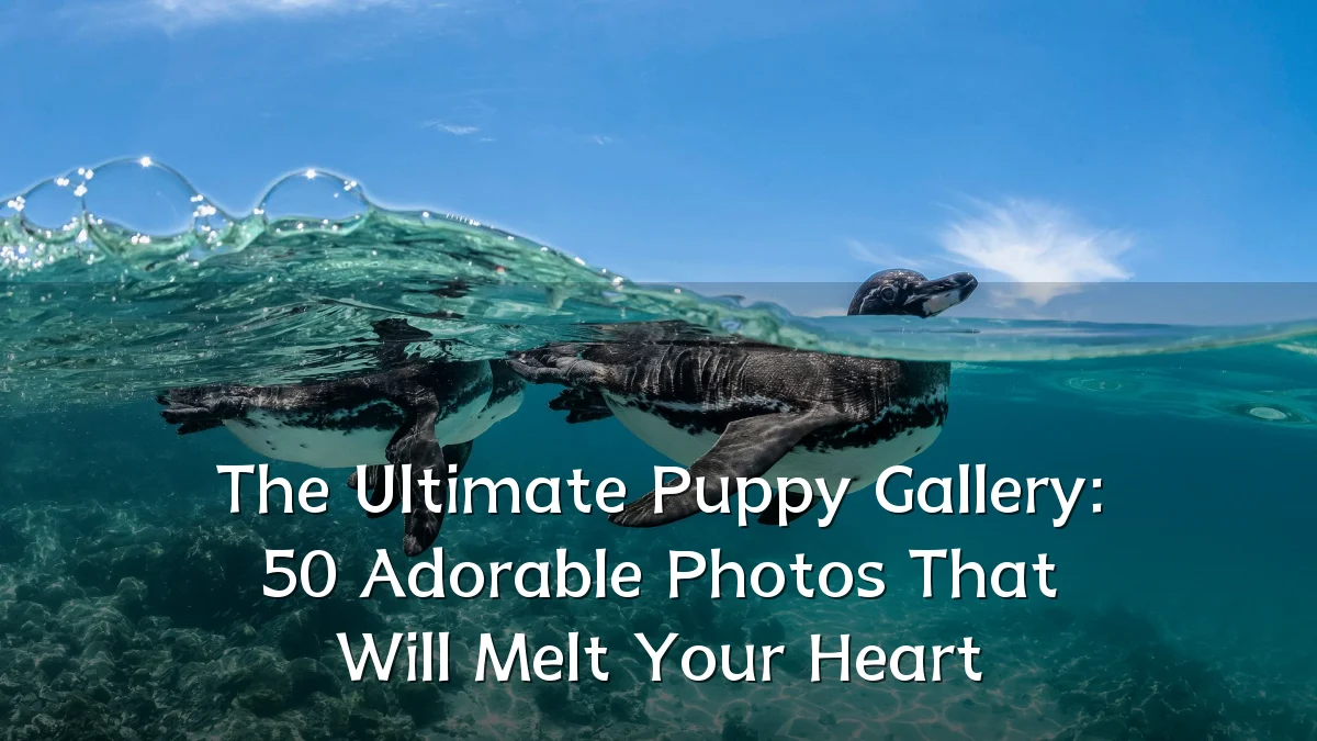 The Ultimate Puppy Gallery: 50 Adorable Photos That Will Melt Your Heart
