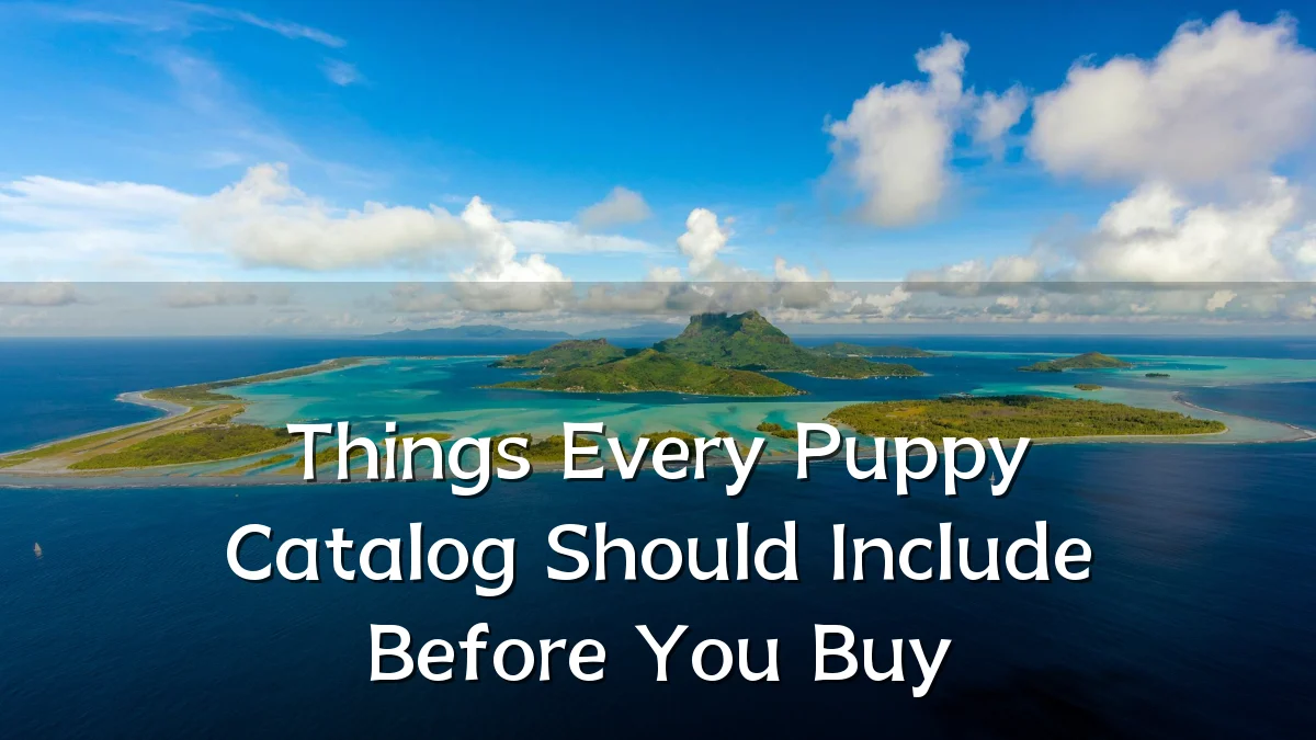 Things Every Puppy Catalog Should Include Before You Buy