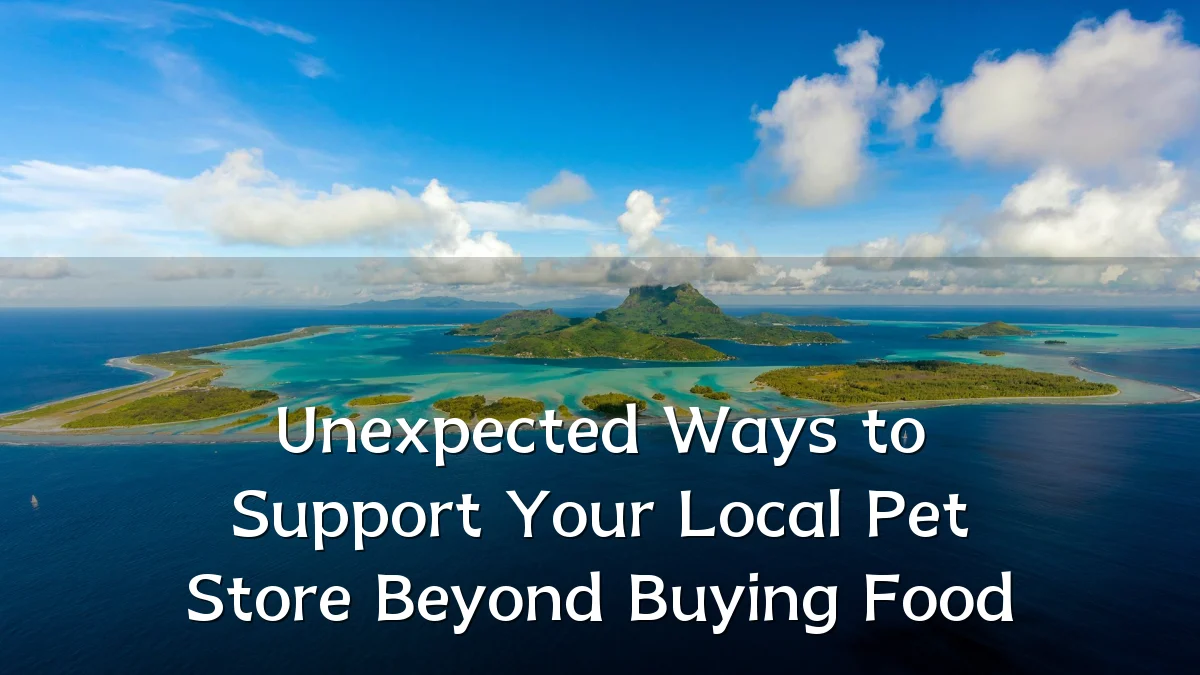 Unexpected Ways to Support Your Local Pet Store Beyond Buying Food