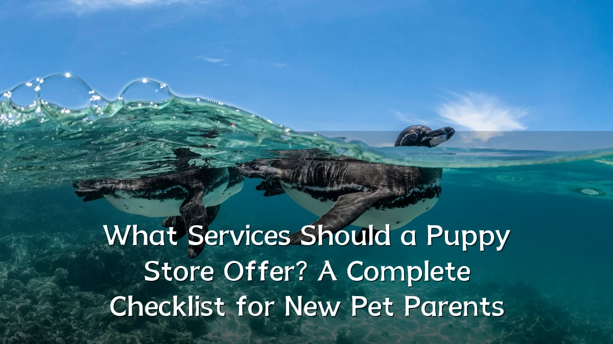 What Services Should a Puppy Store Offer? A Complete Checklist for New Pet Parents