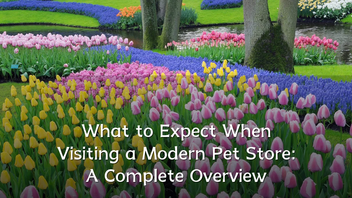 What to Expect When Visiting a Modern Pet Store: A Complete Overview