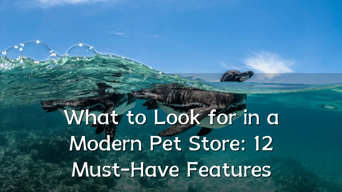 What to Look for in a Modern Pet Store: 12 Must-Have Features