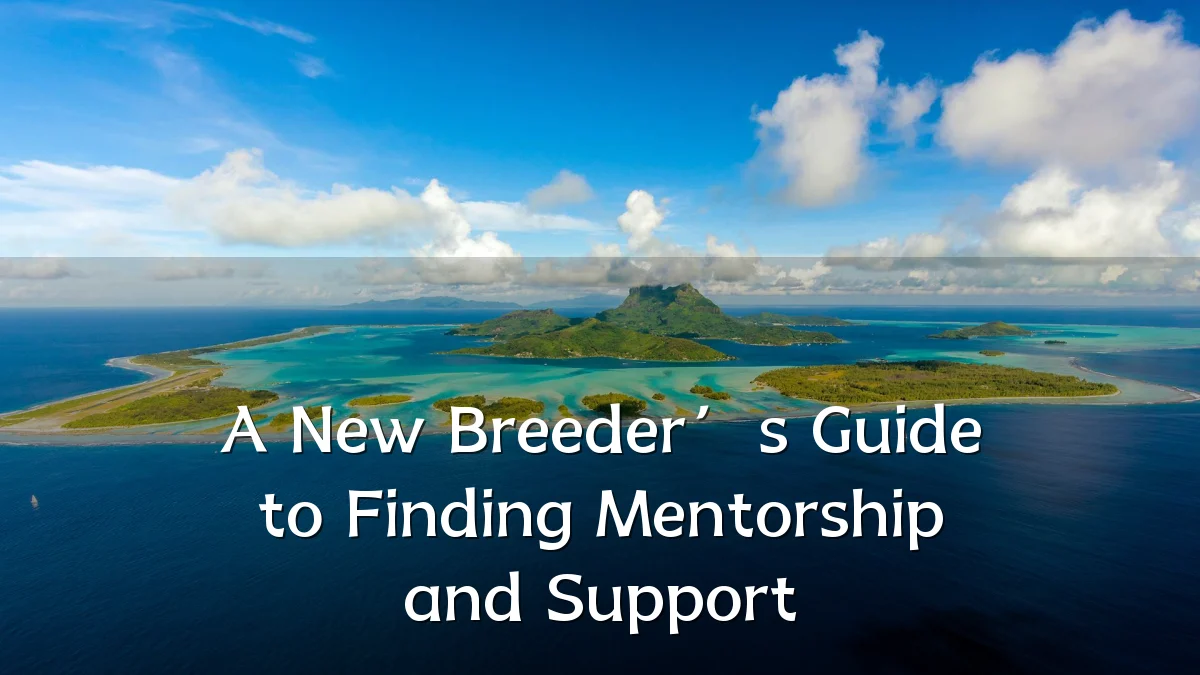 A New Breeder’s Guide to Finding Mentorship and Support