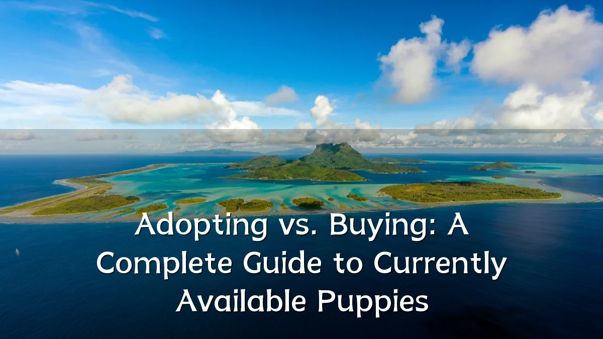 Adopting vs. Buying: A Complete Guide to Currently Available Puppies