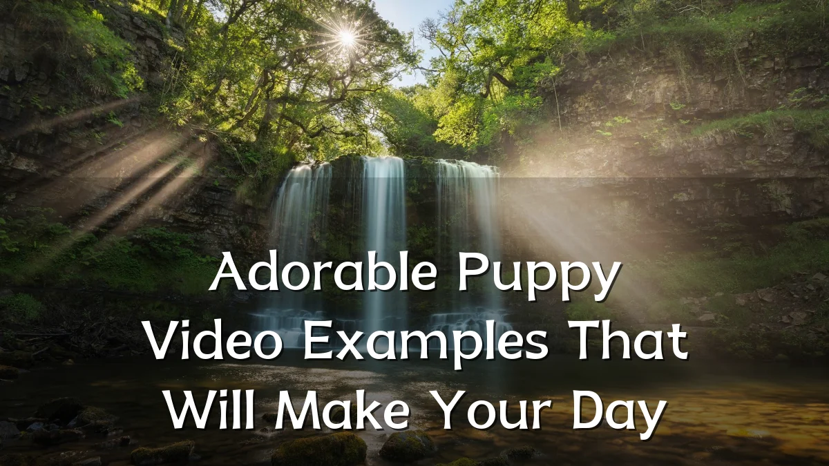Adorable Puppy Video Examples That Will Make Your Day