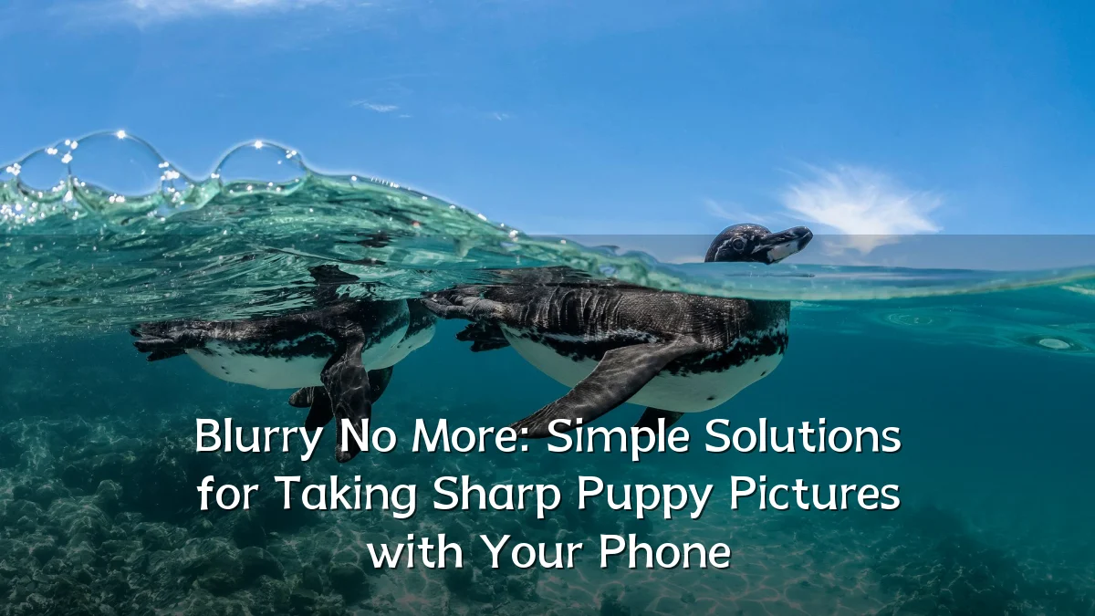 Blurry No More: Simple Solutions for Taking Sharp Puppy Pictures with Your Phone