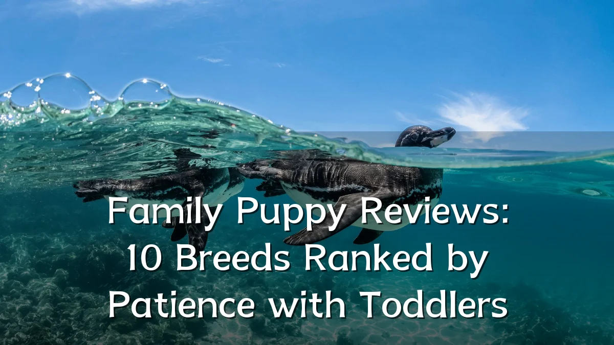 Family Puppy Reviews: 10 Breeds Ranked by Patience with Toddlers