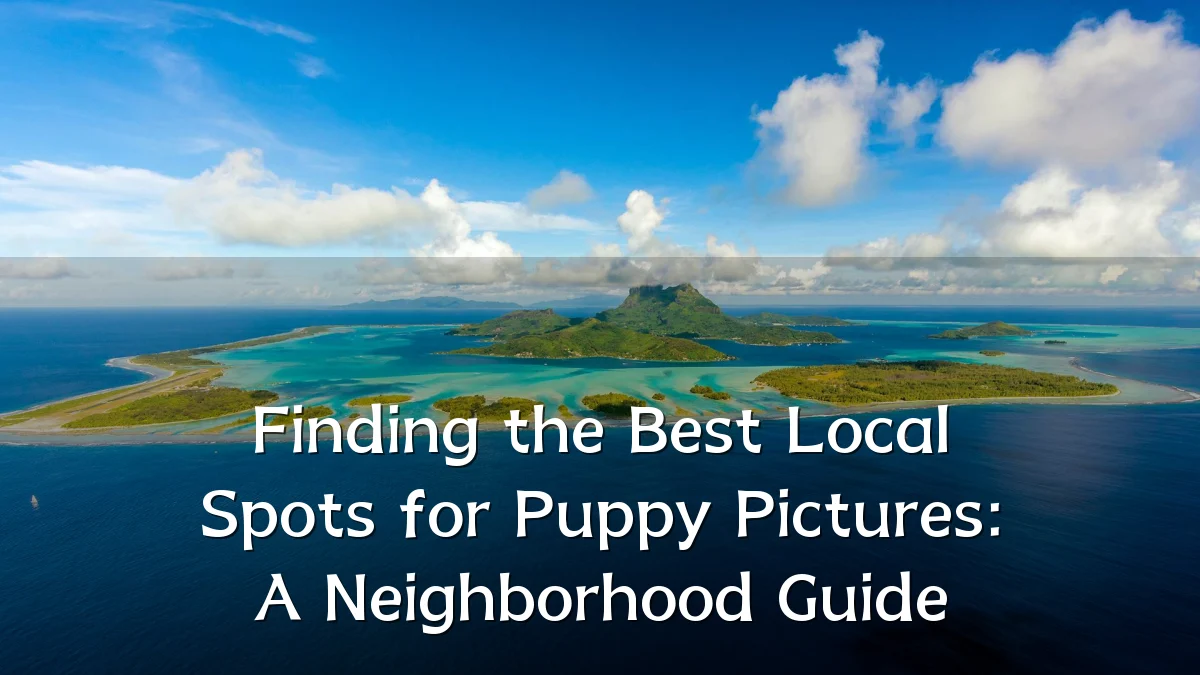 Finding the Best Local Spots for Puppy Pictures: A Neighborhood Guide