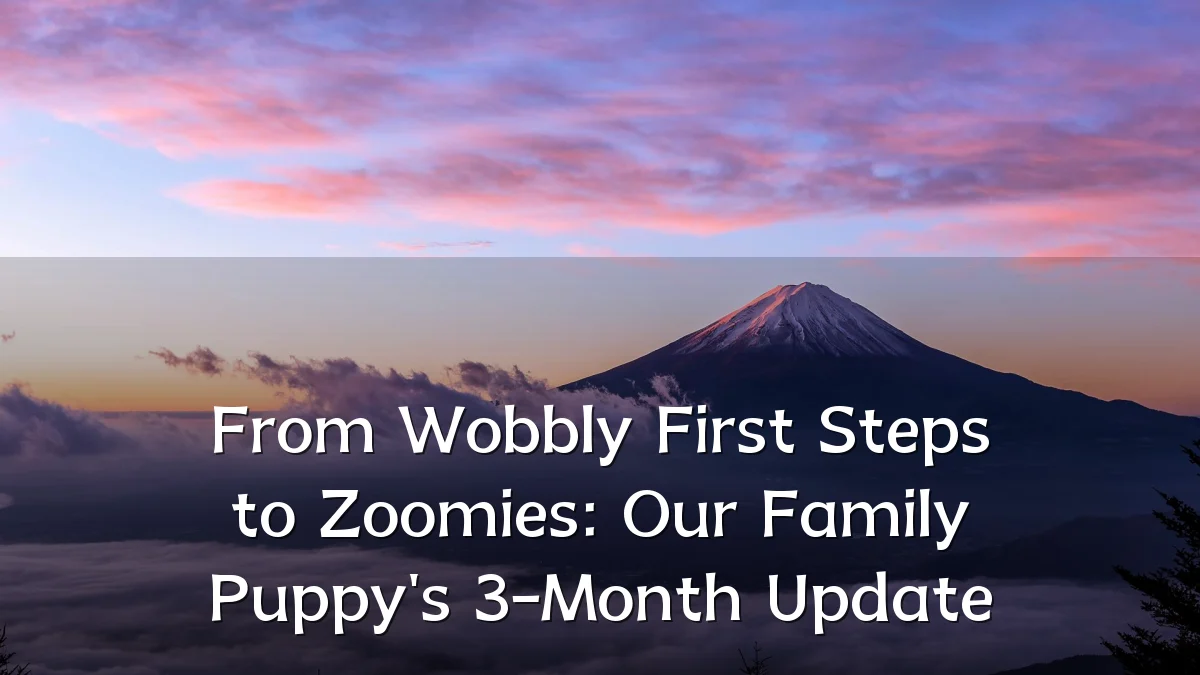 From Wobbly First Steps to Zoomies: Our Family Puppy's 3-Month Update