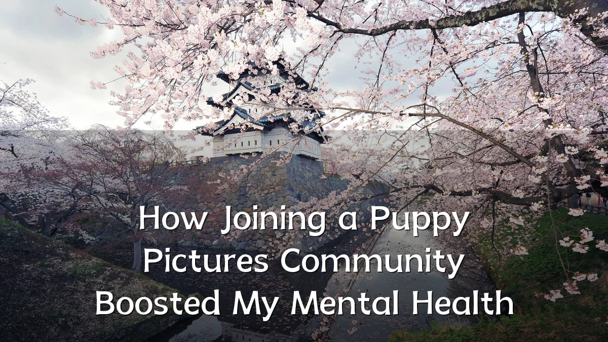 How Joining a Puppy Pictures Community Boosted My Mental Health