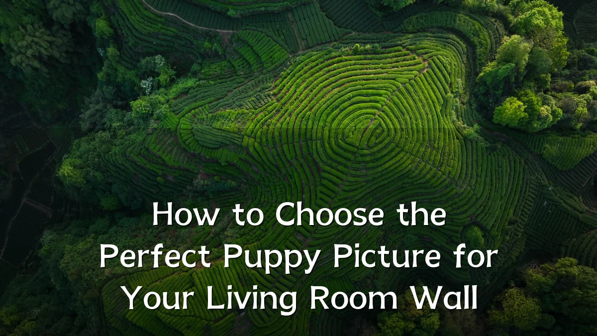 How to Choose the Perfect Puppy Picture for Your Living Room Wall