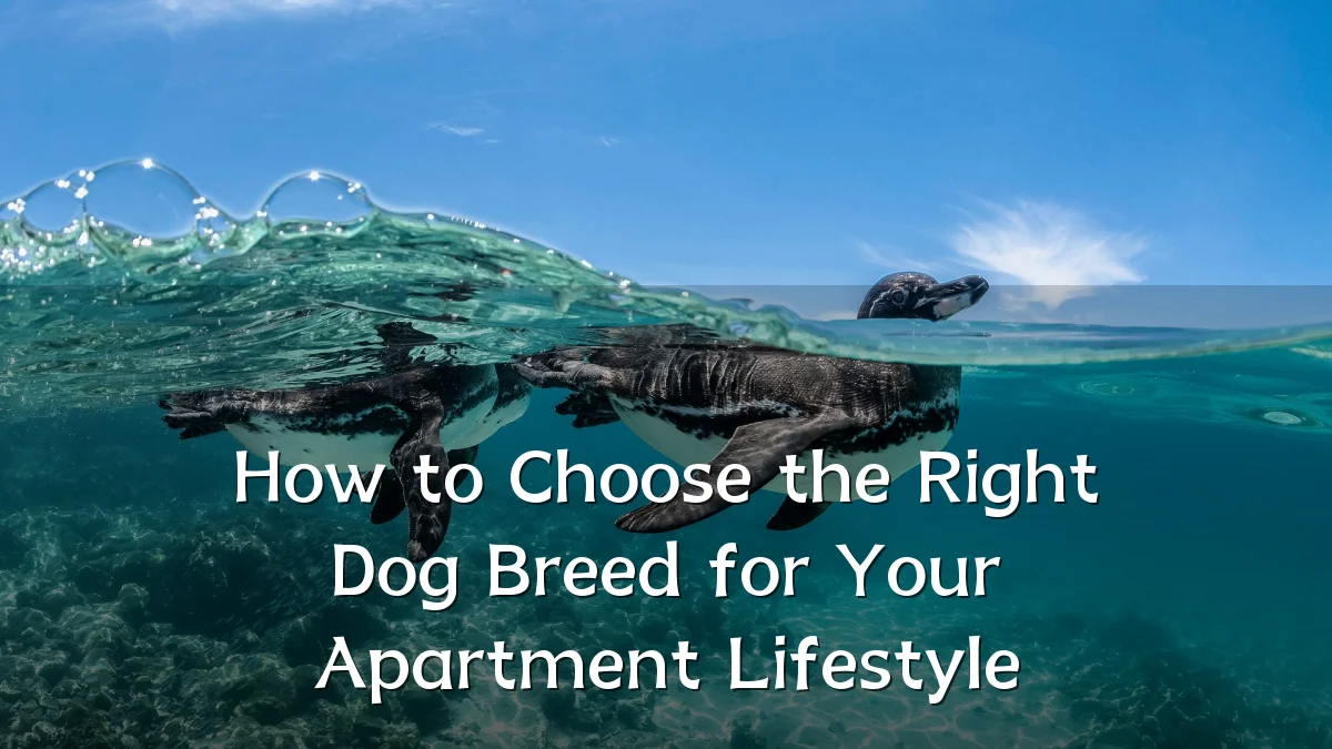 How to Choose the Right Dog Breed for Your Apartment Lifestyle