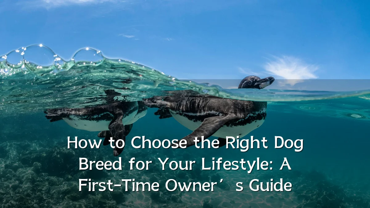 How to Choose the Right Dog Breed for Your Lifestyle: A First-Time Owner’s Guide