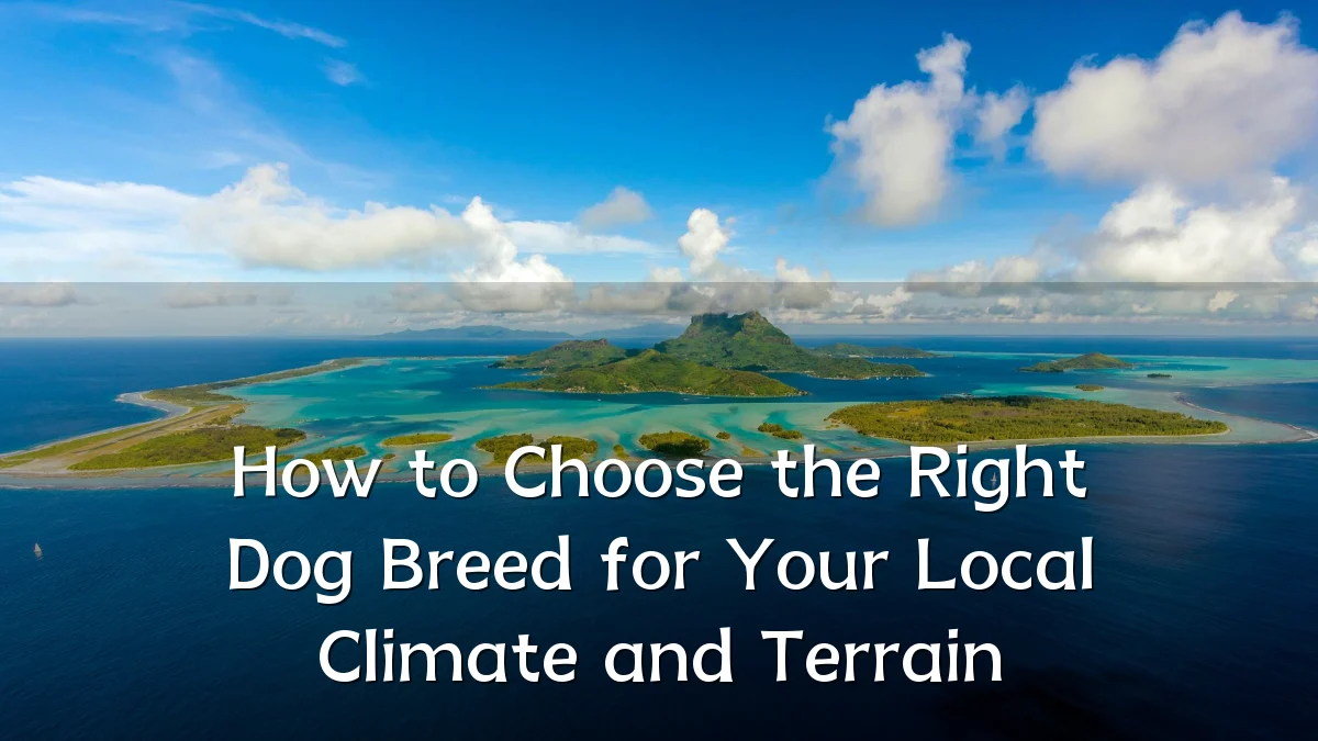 How to Choose the Right Dog Breed for Your Local Climate and Terrain