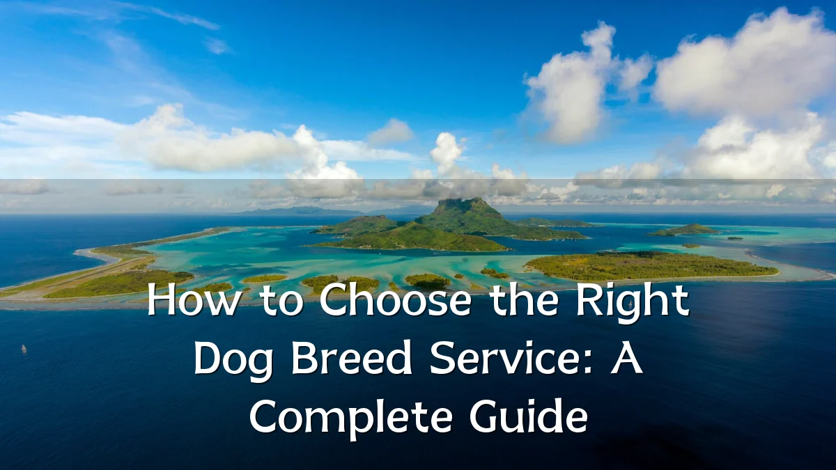 How to Choose the Right Dog Breed Service: A Complete Guide