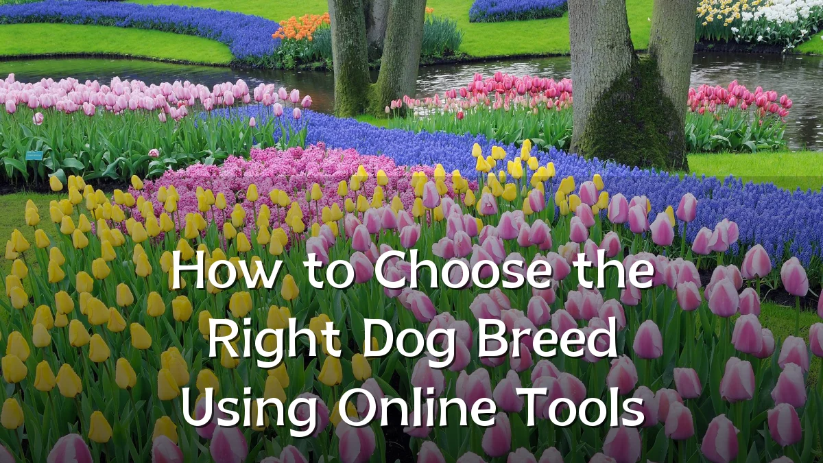 How to Choose the Right Dog Breed Using Online Tools