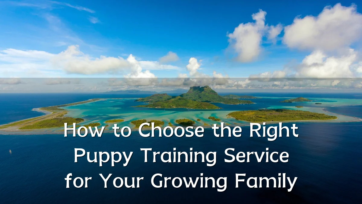 How to Choose the Right Puppy Training Service for Your Growing Family
