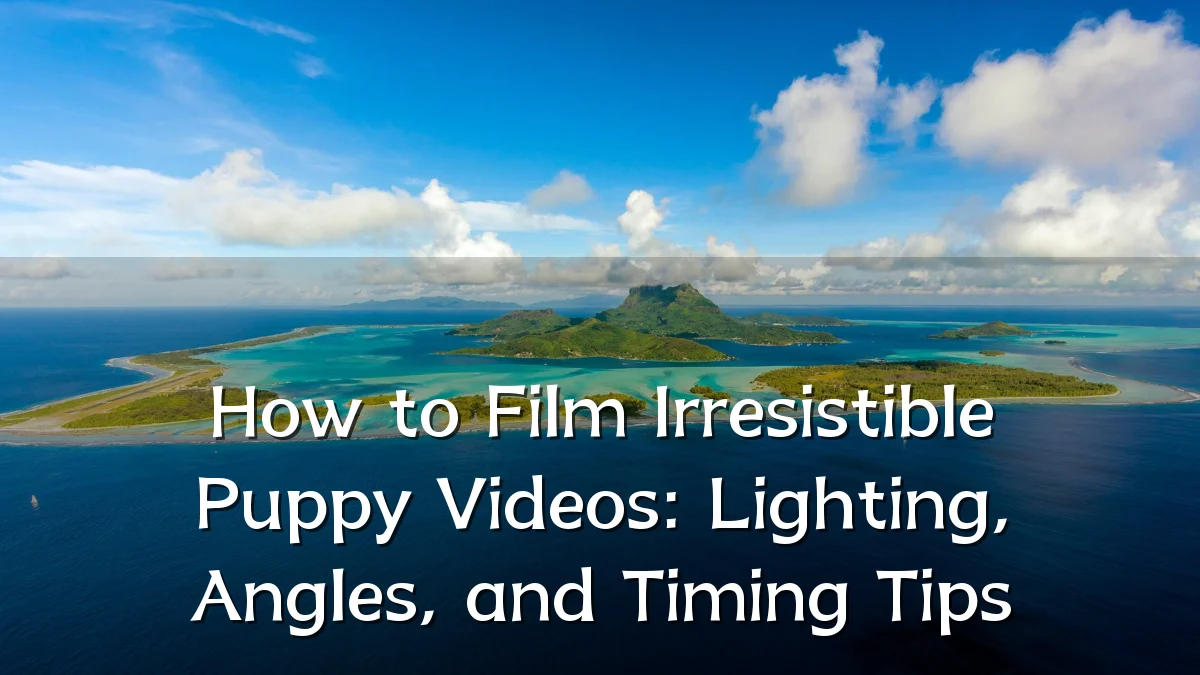 How to Film Irresistible Puppy Videos: Lighting, Angles, and Timing Tips
