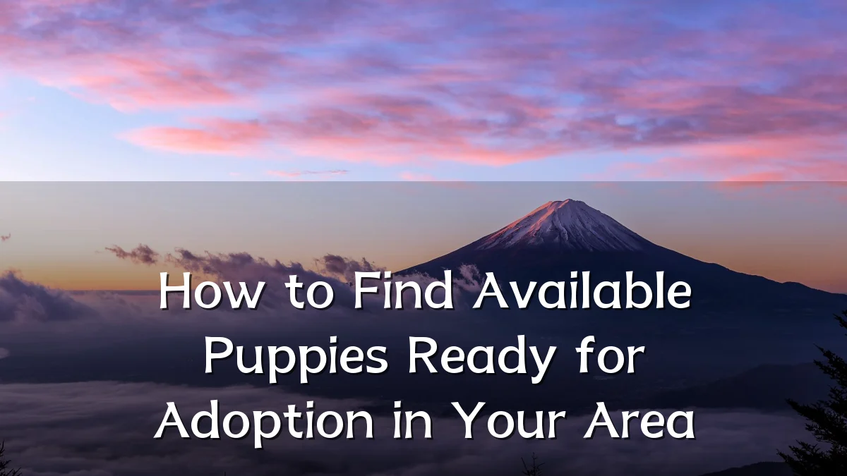 How to Find Available Puppies Ready for Adoption in Your Area