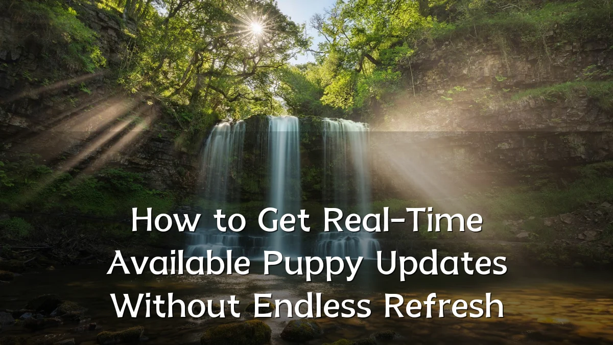 How to Get Real-Time Available Puppy Updates Without Endless Refresh
