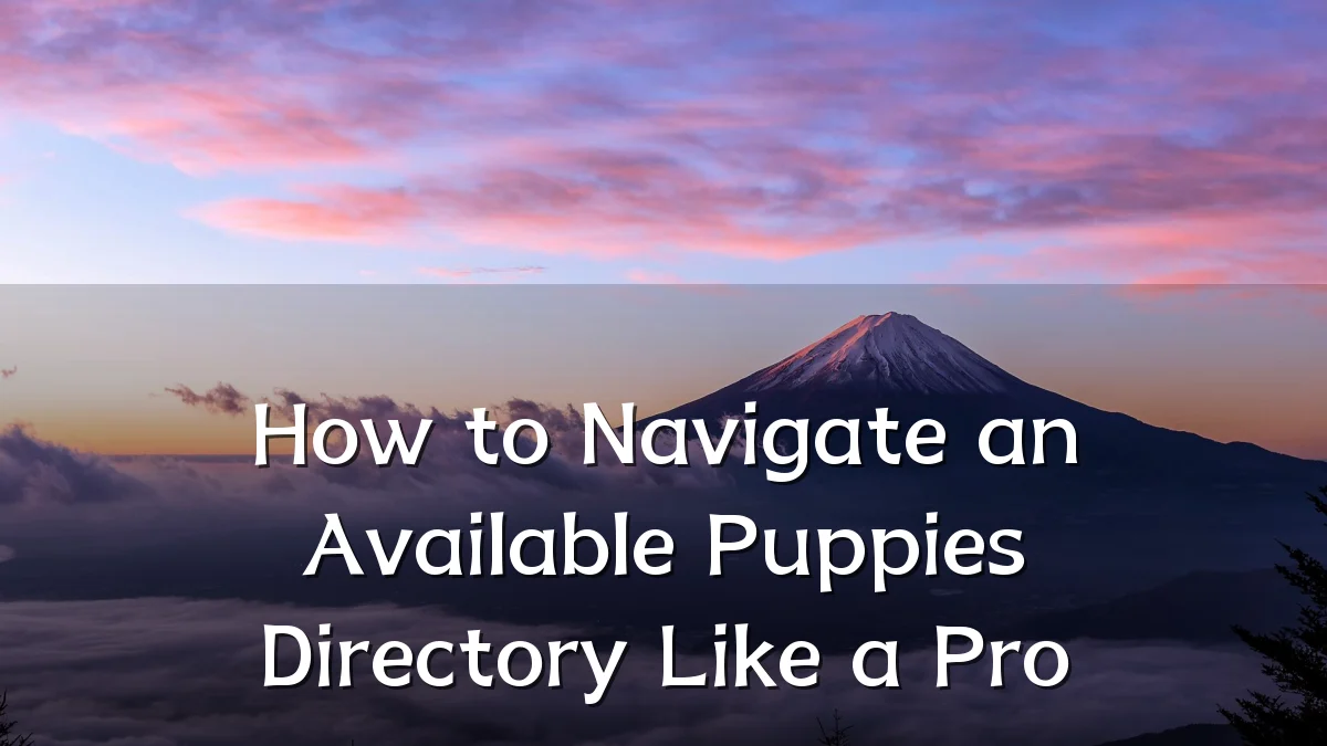 How to Navigate an Available Puppies Directory Like a Pro