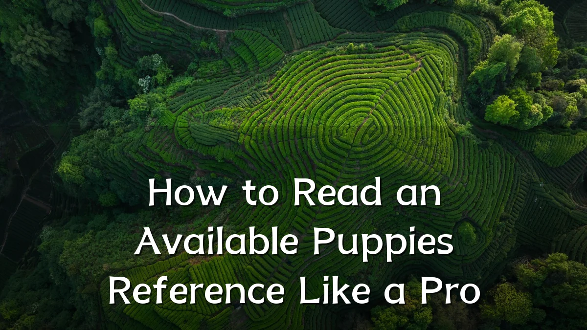 How to Read an Available Puppies Reference Like a Pro