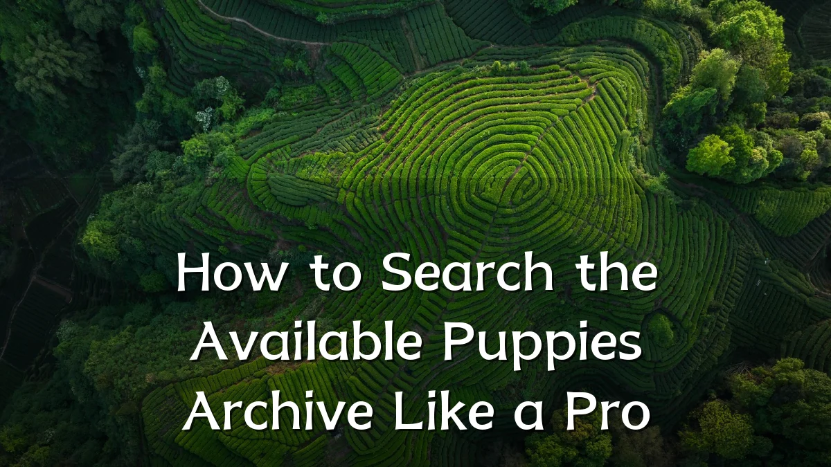 How to Search the Available Puppies Archive Like a Pro