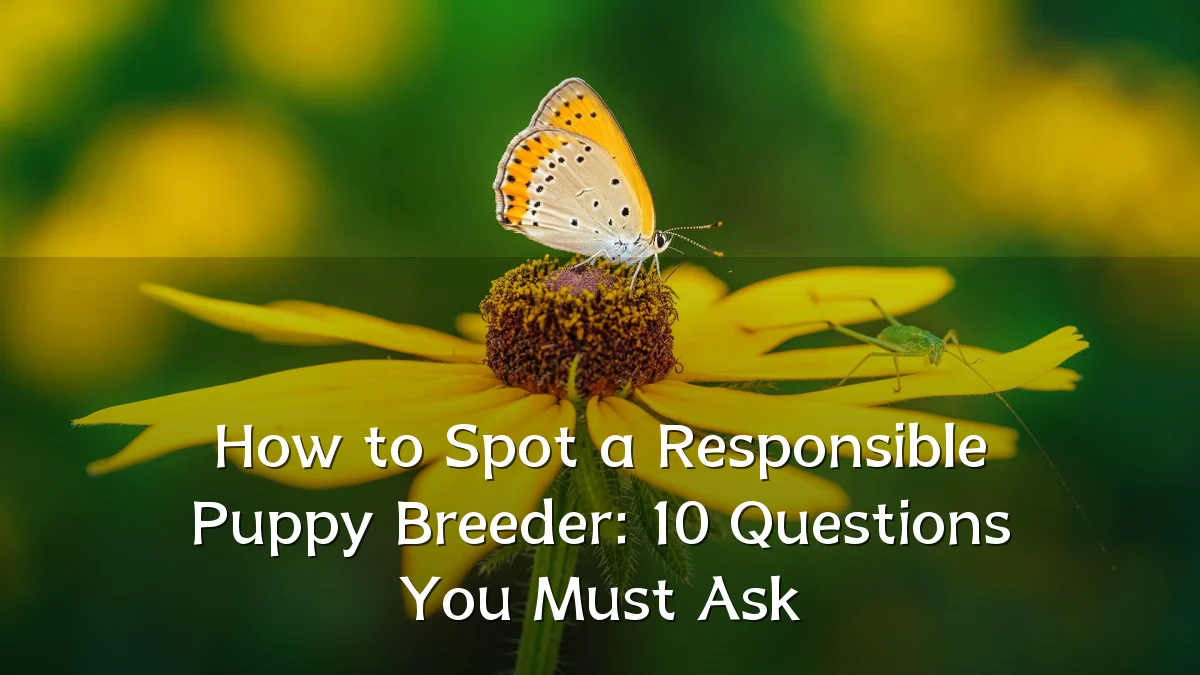 How to Spot a Responsible Puppy Breeder: 10 Questions You Must Ask