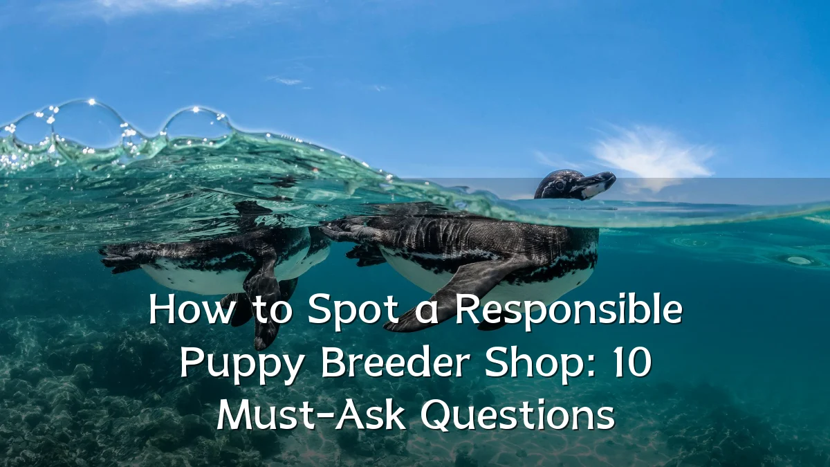 How to Spot a Responsible Puppy Breeder Shop: 10 Must-Ask Questions