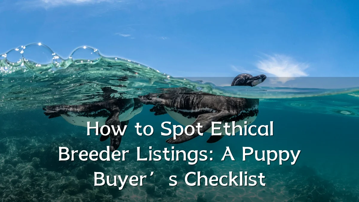 How to Spot Ethical Breeder Listings: A Puppy Buyer’s Checklist