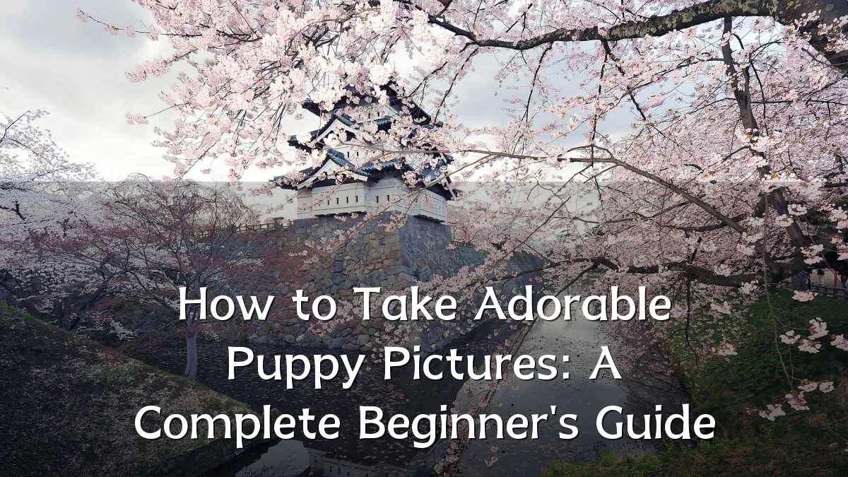 How to Take Adorable Puppy Pictures: A Complete Beginner's Guide