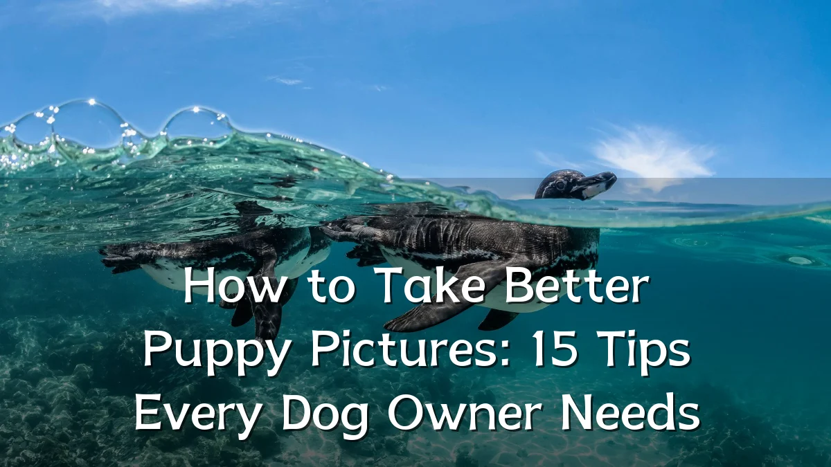 How to Take Better Puppy Pictures: 15 Tips Every Dog Owner Needs