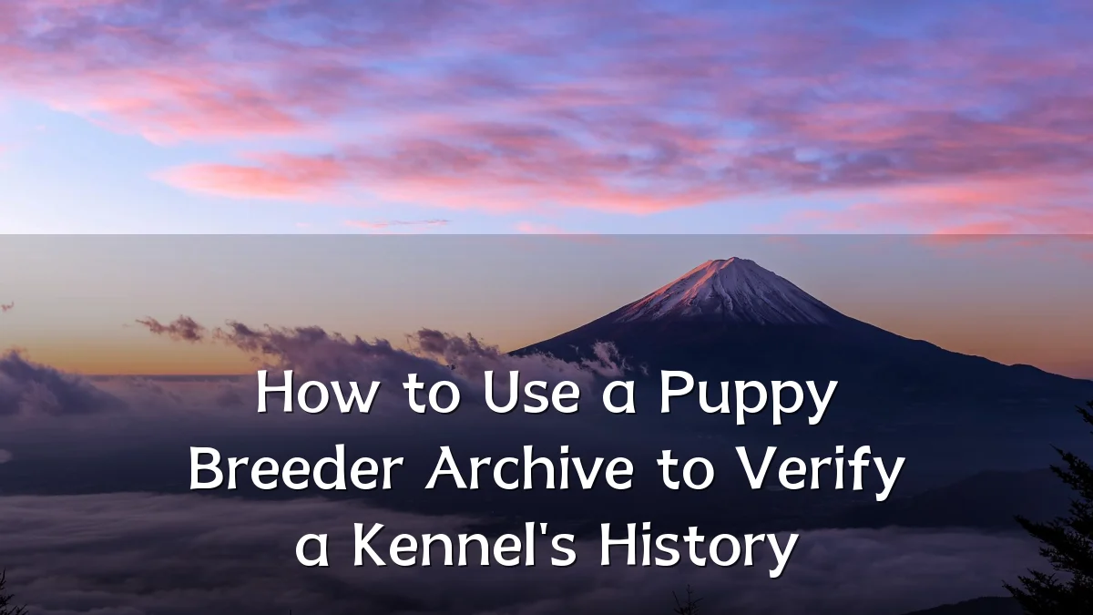 How to Use a Puppy Breeder Archive to Verify a Kennel's History