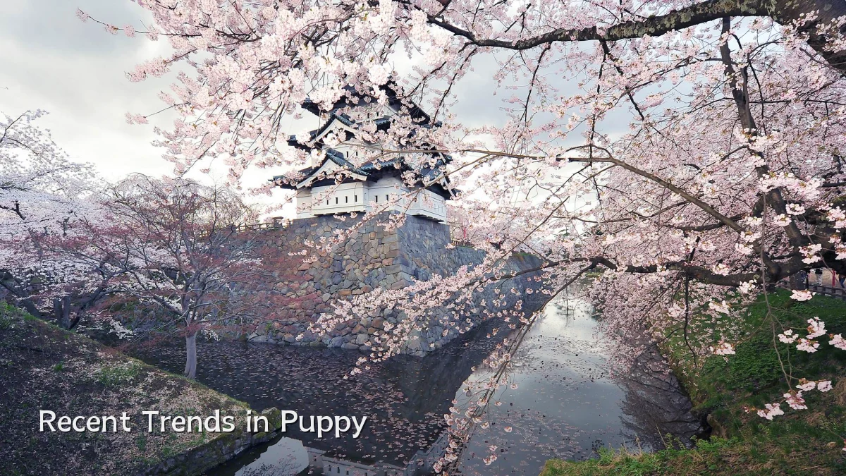 Recent Trends in Puppy