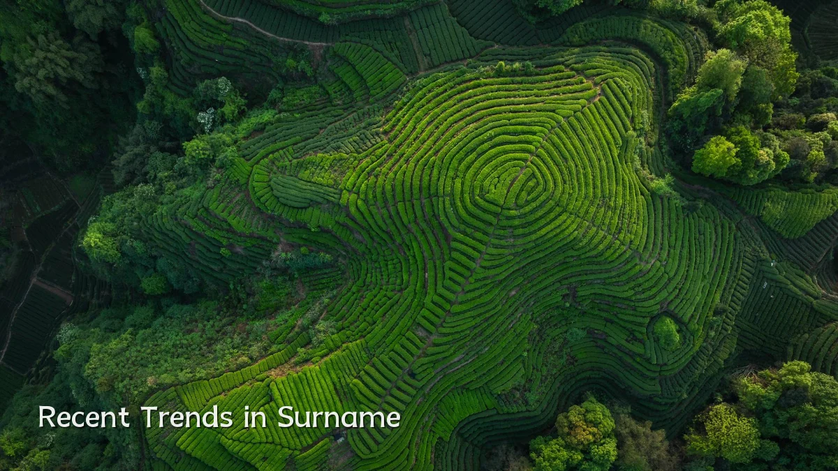Recent Trends in Surname