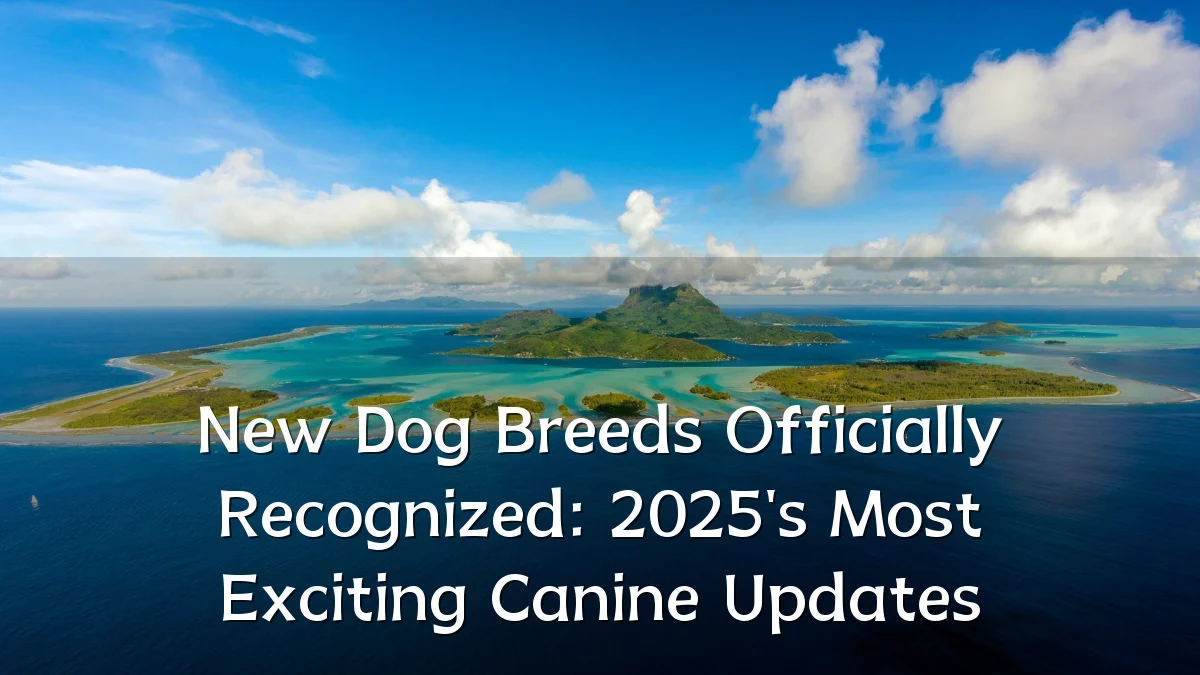 New Dog Breeds Officially Recognized: 2025's Most Exciting Canine Updates